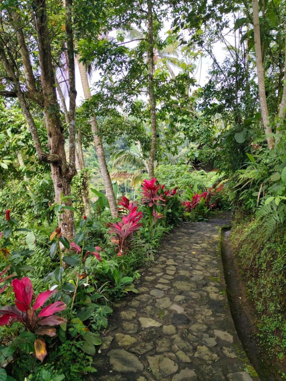 Villa Togog Penebel ภายนอก รูปภาพ