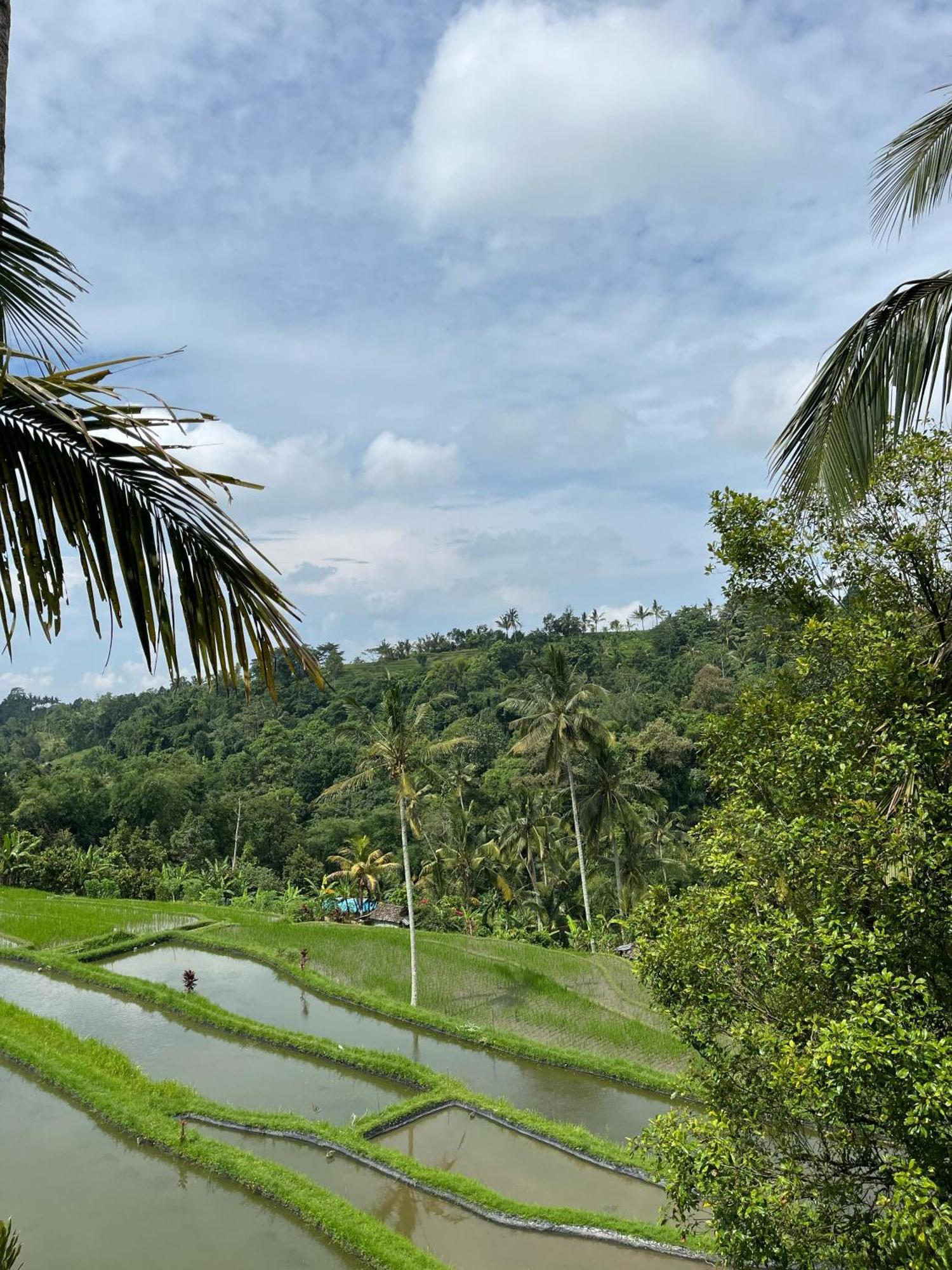 Villa Togog Penebel ภายนอก รูปภาพ
